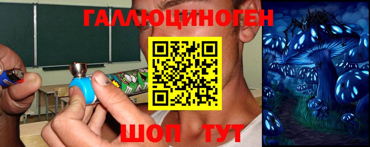 Псилоцибиновые грибы ЛСД  Вход с VPN  Галлюциногенные грибы GOLDEN TEACHER  Бийск 